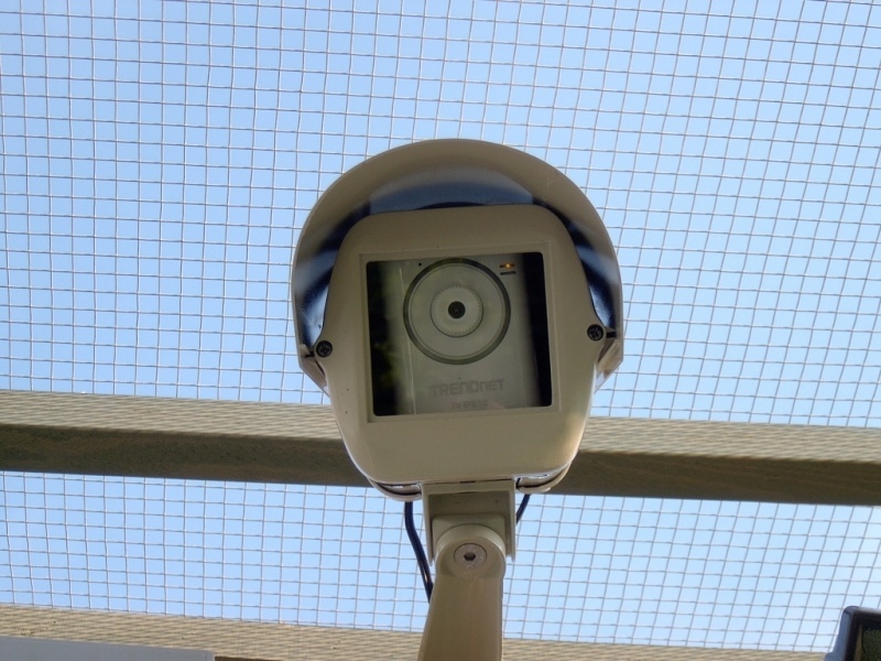 Web camera