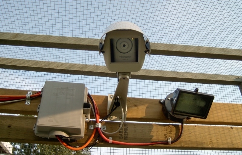 Camera Light