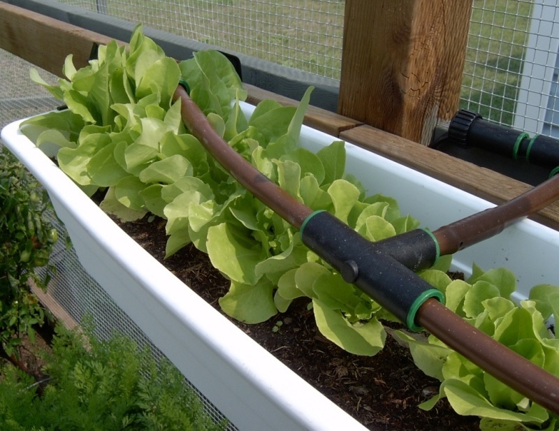 Drip system