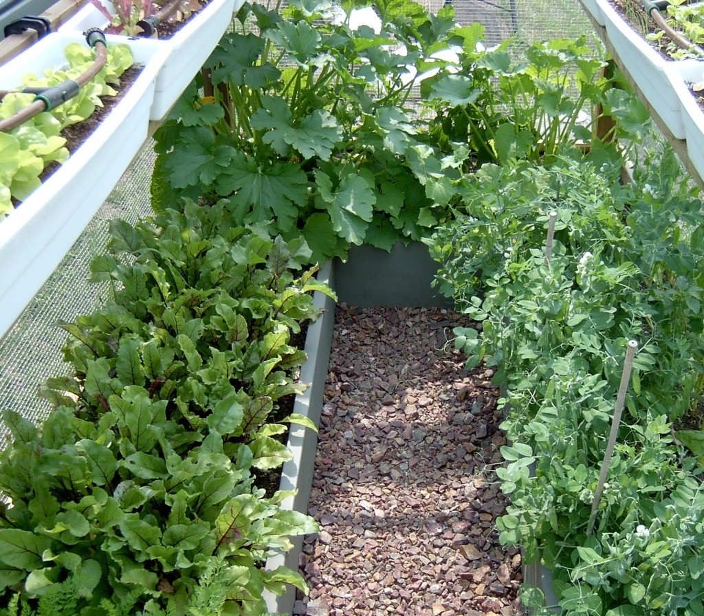 Garden path